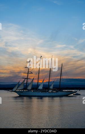 Sicilia, Italia. 25 ottobre 2024. Star Flyer, una nave Star Clipper, lascia il porto mentre il sole tramonta sul porto. Si tratta di moderne navi da crociera create per i passeggeri che amano le tradizioni dell'era delle navi a vela. Le navi sono lunghe 115 metri e trasportano 166 ospiti. Autunno a Siracusa, Sicilia, Italia. Crediti: Guy Bell/Alamy Live News Foto Stock