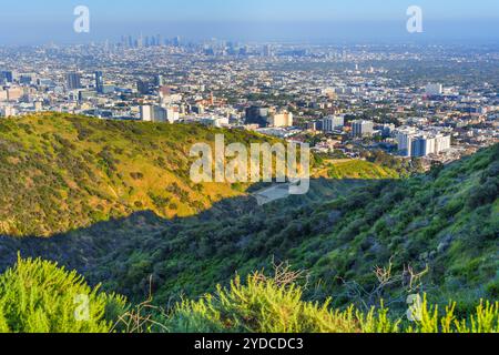 Los Angeles, California - 19 aprile 2024: Vista maestosa dal Runyon Canyon con verdi colline e un suggestivo panorama dello skyline di Los Angeles e Foto Stock