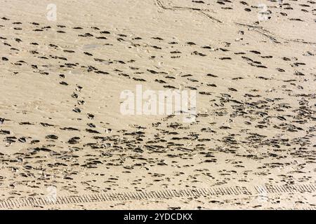 Impronte umane sulla sabbia del fondo marino Foto Stock