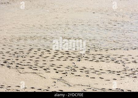 Impronte umane sulla sabbia del fondo marino Foto Stock