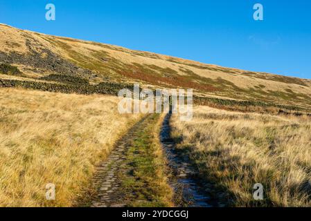 Vecchia pendenza acciottolata a Loftend Quarry, Crowden nella Longdendale Valley, North Derbyhsire, Inghilterra. Foto Stock