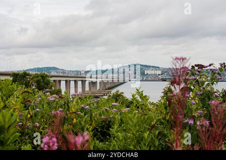 Dundee Scozia: 4 agosto 2024: Il Tay Bridge si estende su un calmo corpo d'acqua con un cielo nuvoloso sopra in un paesaggio urbano Foto Stock