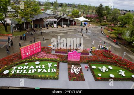 La città di Tonami è uno dei principali produttori di bulbi di tulipani. Il festival annuale dei tulipani si tiene ogni anno dalla fine di aprile all'inizio di maggio nel Tonami Tulip Park. La Fiera dei tulipani espone circa 3 milioni di tulipani che fioriscono in 600 diverse varietà di colori e varietà, mostrati meticolosamente a perdita d'occhio. La fiera presentava un albero di tulipani di 5 metri, baccelli di tulipani galleggianti in acqua, un ponte panoramico a forma di tulipani, una gigantesca parete di tulipani e giardini in stile olandese. Il principale letto di fiori è pieno di 210.000 tulipani tutti coltivati nella regione. Il festival attira migliaia di visitatori ogni anno Foto Stock