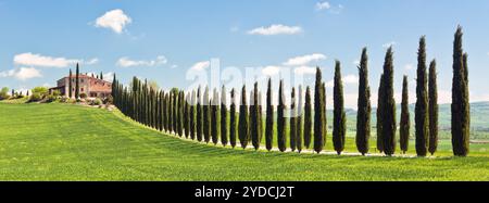 Vista classica della fattoria toscana, del campo verde e delle file di cipressi Foto Stock