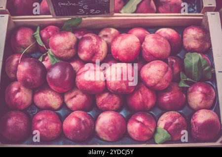 Nettarine fresche mature in un mercato agricolo Foto Stock