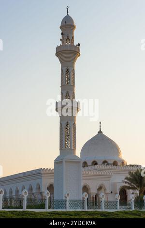 Moschea in Liwa oasis, Abu Dhabi, negli Emirati Arabi Uniti. Colpo verticale Foto Stock