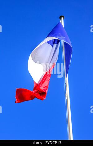 Tricolore / le Tricolore bandiera nazionale della Francia che sventola in una brezza - Tours, Indre-et-Loire (37), Francia. Foto Stock