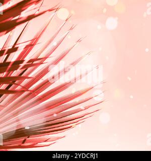 Rami di palma tonificati in corallo Foto Stock