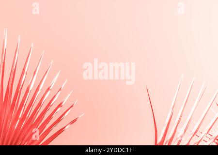 Rami di palma tonificati in corallo vivo Foto Stock