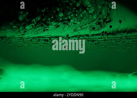Riflessi verdi, astrazione fluida, sfondo naturale, astrazione minimalista, sfondo olio minimalista, textur. olio naturale Foto Stock