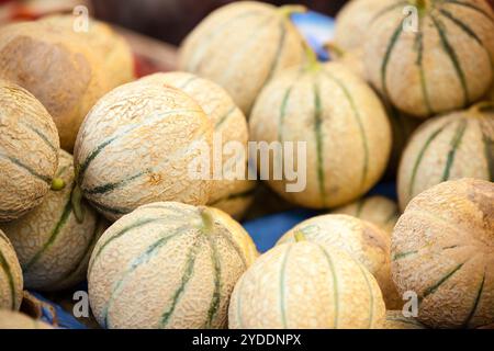 I meloni freschi maturi si accumulano in un mercato agricolo Foto Stock