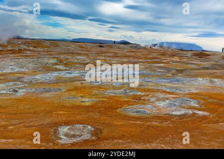 Vasche di fango calde nell'area geotermica di Hverir, Islanda Foto Stock