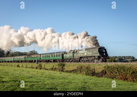 BR 'Bob' 4-6-2 No. 34070 'Manston' si avvicina a Horsted Keynes sulla Bluebell Railway, East Sussex, Inghilterra, Regno Unito Foto Stock