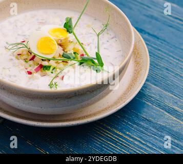 Zuppa di yogurt freddo estivo su tavola di legno Foto Stock