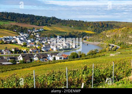 Vista panoramica dei vigneti terrazzati intorno a Nittel, Renania-Palatinato, Germania e vista sul fiume Mosella sulle colline di vigneti del Lussemburgo vicino Foto Stock