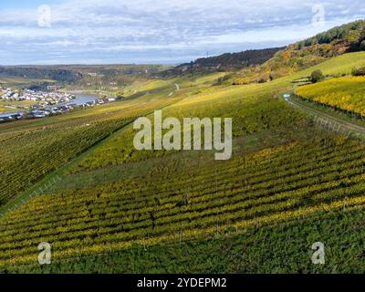 Vista aerea dei vigneti terrazzati intorno a Nittel, Renania-Palatinato, Germania e vedute sul fiume Mosella sulle colline di vigneti di Machtum, Lussemburgo Foto Stock