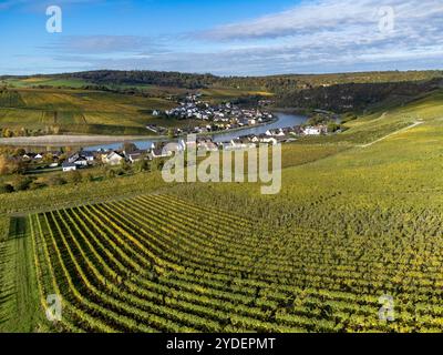 Vista aerea dei vigneti terrazzati intorno a Nittel, Renania-Palatinato, Germania e vedute sul fiume Mosella sulle colline di vigneti di Machtum, Lussemburgo Foto Stock