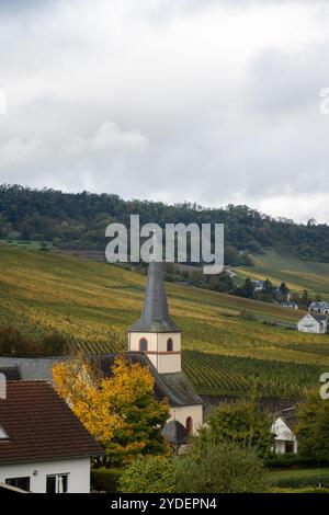 Vista panoramica dei vigneti terrazzati intorno a Nittel, Renania-Palatinato, Germania e vista sul fiume Mosella sulle colline di vigneti del Lussemburgo vicino Foto Stock