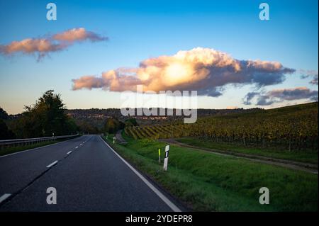 Panoramic view of terraced vineyards around Nittel, Rhineland-Palatinate, Germany and views across Moselle River on vineyard hills of Luxembourg near Foto Stock