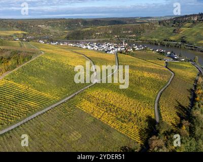 Vista aerea dei vigneti terrazzati intorno a Nittel, Renania-Palatinato, Germania e vedute sul fiume Mosella sulle colline di vigneti di Machtum, Lussemburgo Foto Stock