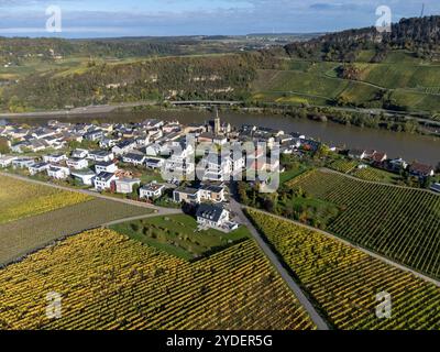 Vista aerea dei vigneti terrazzati intorno a Nittel, Renania-Palatinato, Germania e vedute sul fiume Mosella sulle colline di vigneti di Machtum, Lussemburgo Foto Stock