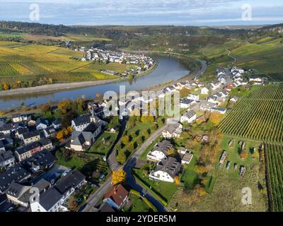 Vista aerea dei vigneti terrazzati intorno a Nittel, Renania-Palatinato, Germania e vedute sul fiume Mosella sulle colline di vigneti di Machtum, Lussemburgo Foto Stock