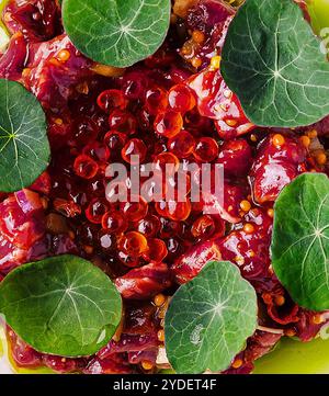 Tartaro di tonno con caviale rosso da vicino Foto Stock