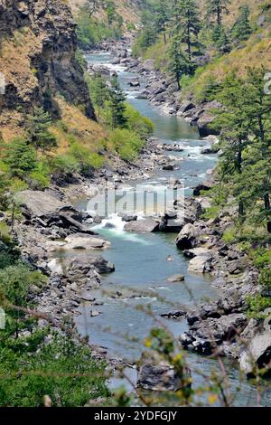 Vista panoramica di Paro Chhu, vicino al Ponte delle catene di ferro, Chokha, Bhutan Foto Stock