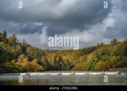 Swanbourne Lake, West Sussex, con barche a remi ormeggiate in fila durante la bella stagione autunnale. Foto Stock