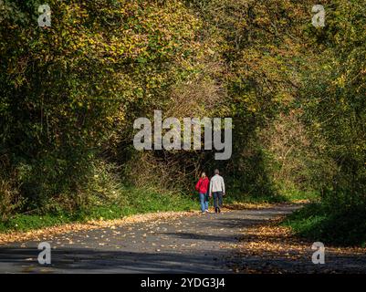 Vista posteriore di 2 persone che camminano lungo una strada boschiva con foglie autunnali e colori su entrambi i lati della strada. Foto Stock