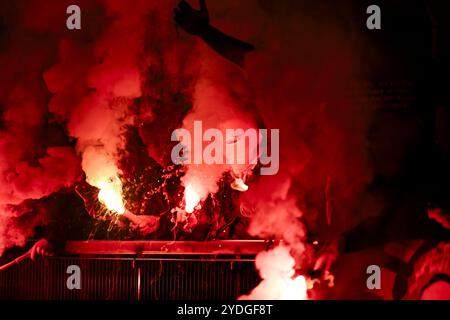 Denderleeuw, Belgio. 26 ottobre 2024. I tifosi di Mechelen usano fuochi d'artificio durante una partita di calcio tra FCV Dender EH e KV Mechelen, sabato 26 ottobre 2024 a Denderleeuw, il giorno 12 della stagione 2024-2025 della "Jupiler Pro League" prima divisione del campionato belga. BELGA PHOTO TOM GOYVAERTS credito: Belga News Agency/Alamy Live News Foto Stock