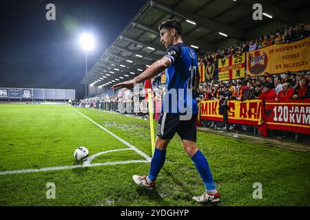 Denderleeuw, Belgio. 26 ottobre 2024. Le galline di Lennard di Dender raffigurate durante una partita di calcio tra FCV Dender EH e KV Mechelen, sabato 26 ottobre 2024 a Denderleeuw, il giorno 12 della stagione 2024-2025 della "Jupiler Pro League" prima divisione del campionato belga. BELGA PHOTO TOM GOYVAERTS credito: Belga News Agency/Alamy Live News Foto Stock