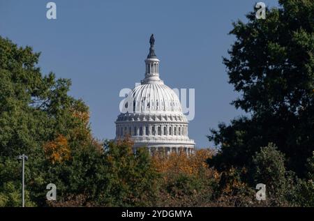 Washington, Stati Uniti. 25 ottobre 2024. Il Campidoglio, visto dal lato del parco. L'edificio classicista è la sede del Congresso degli Stati Uniti. Credito: Soeren Stache/dpa/Alamy Live News Foto Stock