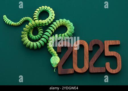 Capodanno cinese. Un vivace serpente verde intrecciato con i numeri di legno 2025 Foto Stock