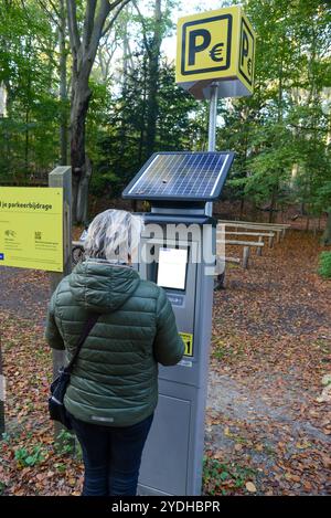 Donna al macchinario a pagamento nel parcheggio della foresta, in Olanda Foto Stock