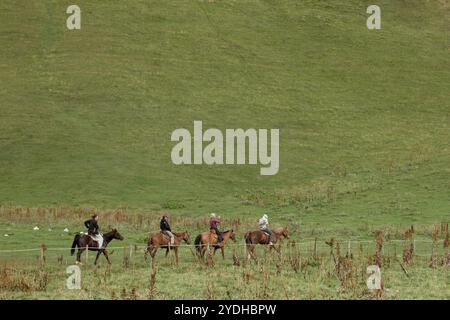 quattro cavalieri a cavallo che si muovono piacevolmente su un'ampia collina verde. I motociclisti sono divisi in una linea, vestiti con calore Foto Stock