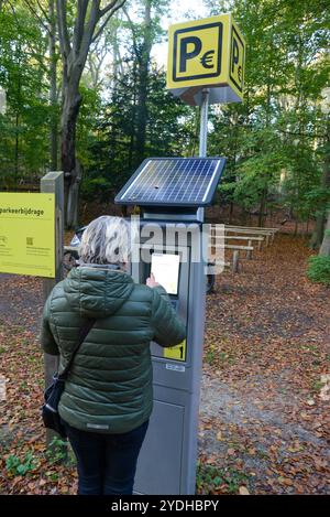 Donna al macchinario a pagamento nel parcheggio della foresta, in Olanda Foto Stock