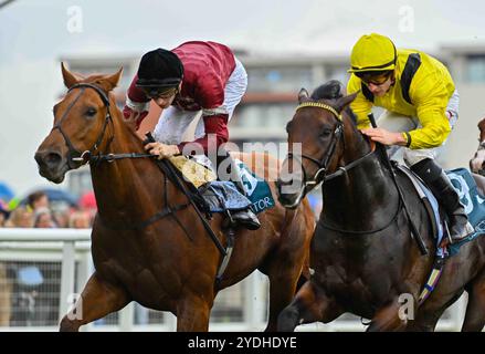 Newbury, Regno Unito, 26/10/2024, Make You Smile (a sinistra) guidato da Harry Davies vince il 15,45 The BetVictor St Simon Stakes davanti a Yaroogh (a destra), guidato da Tom Marquand, all'ippodromo di Newbury, Newbury Picture di Paul Blake/Alamy Sports News Foto Stock