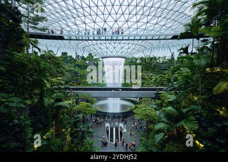 Singapore - 12 agosto 2024: Giardino tropicale al coperto e cascata al centro commerciale Jewel in Changi Airport, progettato da Safdie Architects Foto Stock