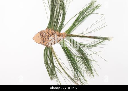 Forma di pesce composta da coni di pino e aghi di pino su sfondo bianco. Composizione piatta. Concetto artistico ispirato alla natura. Design per poster, saluto c Foto Stock