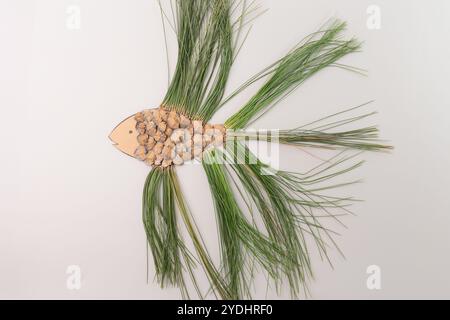 Forma di pesce composta da coni di pino e aghi di pino su sfondo grigio. Composizione piatta. Concetto artistico ispirato alla natura. Design per poster, messaggio di saluto CA Foto Stock