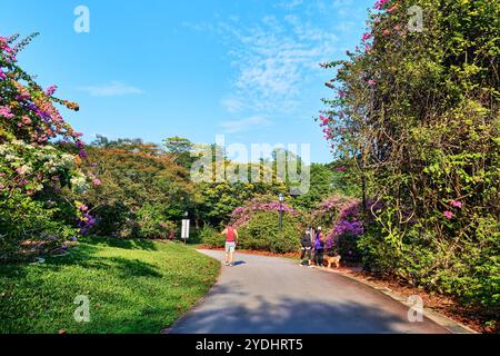 Singapore - 13 agosto 2024: Giardino botanico di Singapore e persone che fanno jogging e camminate Foto Stock