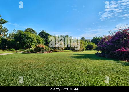 Singapore - 13 agosto 2024: Prato nei Giardini Botanici di Singapore Foto Stock