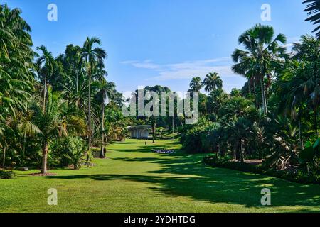 Singapore - 13 agosto 2024: Prato nei Giardini Botanici di Singapore Foto Stock