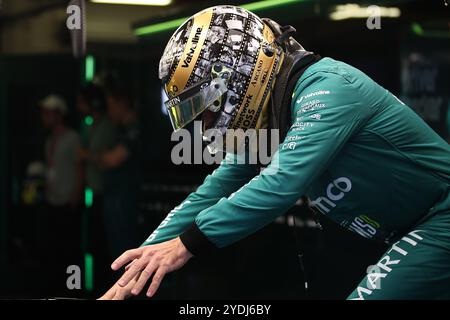 Aj durante il Gran Premio de la Ciudad de, Messico di Formula 1. , . Campionato del mondo di Formula uno dal 25 al 27 ottobre 2024 sull'autodromo Hermanos Rodriguez, a città del Messico, Messico - foto DPPI Credit: DPPI Media/Alamy Live News Foto Stock