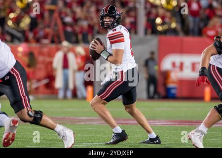 Houston, Texas, Stati Uniti. 26 ottobre 2024. Il quarterback degli Utah Utes Brandon Rose (8) guarda al lancio durante una partita tra gli Utah Utes e gli Houston Cougars a Houston, Texas. Trask Smith/CSM/Alamy Live News Foto Stock