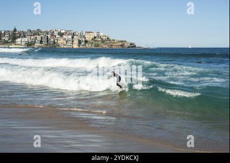 21/09/2018, Sydney, nuovo Galles del Sud, Australia, Un surfista cavalca un'onda a Bondi Beach, Oceania Foto Stock