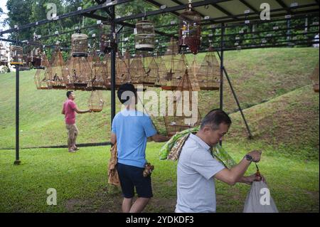 02.12.2018, Singapore, Repubblica di Singapore, Asia, gli amanti degli uccelli appendono le loro gabbie di uccelli al Kebun Baru Bird Corner di Ang Mo Kio Town Garden West, Asi Foto Stock