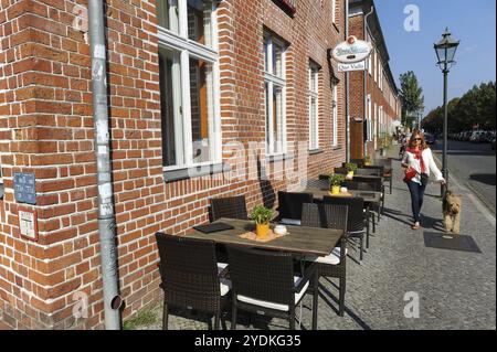 18/09/2014, Potsdam, Brandeburgo, Germania, Europa, un pedone cammina il suo cane nel quartiere olandese, in Europa Foto Stock