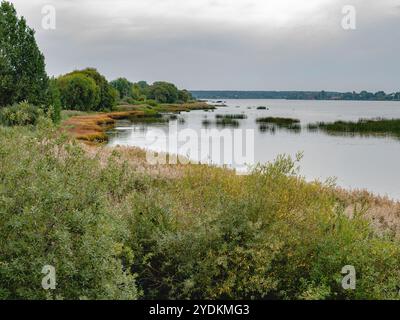 riva del fiume all'inizio dell'autunno con l'erba sulla riva che cambia colore da verde a giallo. Foto Stock